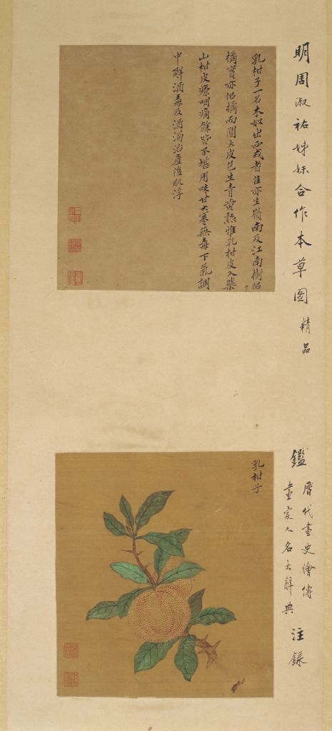 图片[1]-Zhou Shuxi and Zhou Shuhu flower and fruit picture screen-China Archive